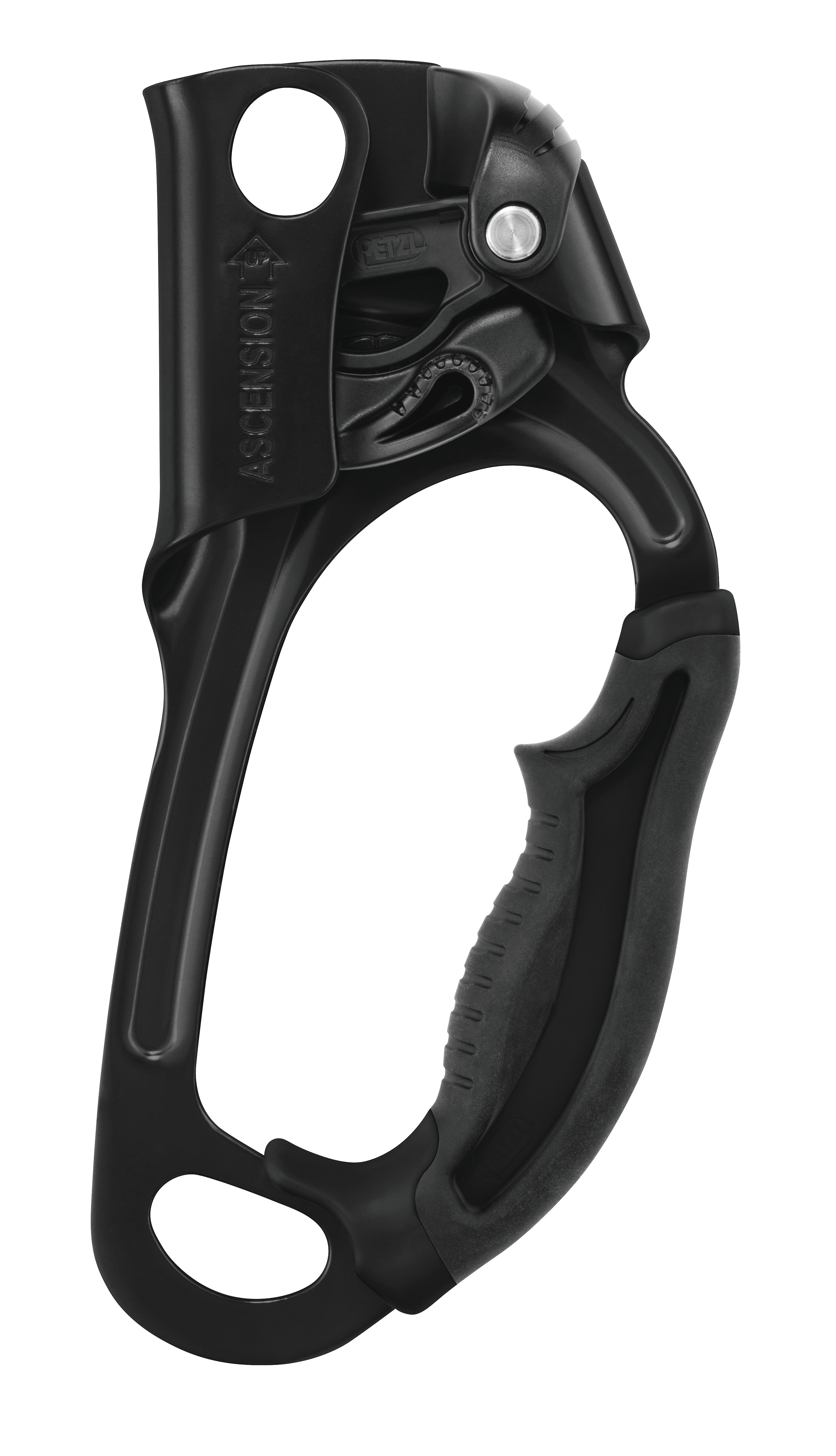 Petzl ASCENSION