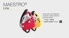 Petzl MAESTRO® L